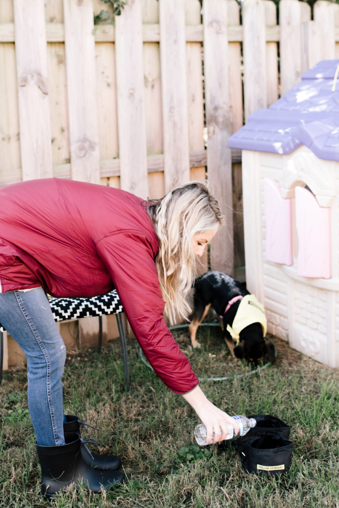 Dollar General | The Benefits of Having a Pet and How to Care for Them featured by top Nashville lifestyle blog Nashville Wifestyles. The Benefits of Having a Pet and How to Care for Them - Nashville Wifestyles; Welcoming a new pet is a HUGE event for a family and kids. Whether you're adopting a puppy, older dog or kitten, you have to be prepared. It’s such an exciting time for your family but it does take a little work at first. Make sure everyone is clear on their responsibilities regarding taking care of the pet. Mom can be in charge of crate training, one kid can take the dog out to potty, one kid is on feeding duty, dad can change the litter box. Click to read the benefits of adopting a pet.