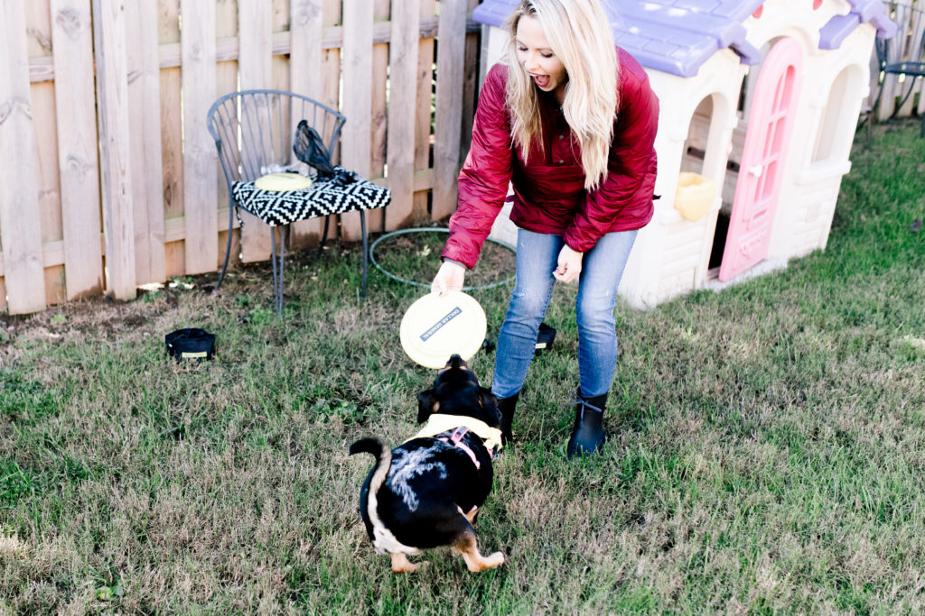 Dollar General | The Benefits of Having a Pet and How to Care for Them featured by top Nashville lifestyle blog Nashville Wifestyles. The Benefits of Having a Pet and How to Care for Them - Nashville Wifestyles; Welcoming a new pet is a HUGE event for a family and kids. Whether you're adopting a puppy, older dog or kitten, you have to be prepared. It’s such an exciting time for your family but it does take a little work at first. Make sure everyone is clear on their responsibilities regarding taking care of the pet. Mom can be in charge of crate training, one kid can take the dog out to potty, one kid is on feeding duty, dad can change the litter box. Click to read the benefits of adopting a pet.