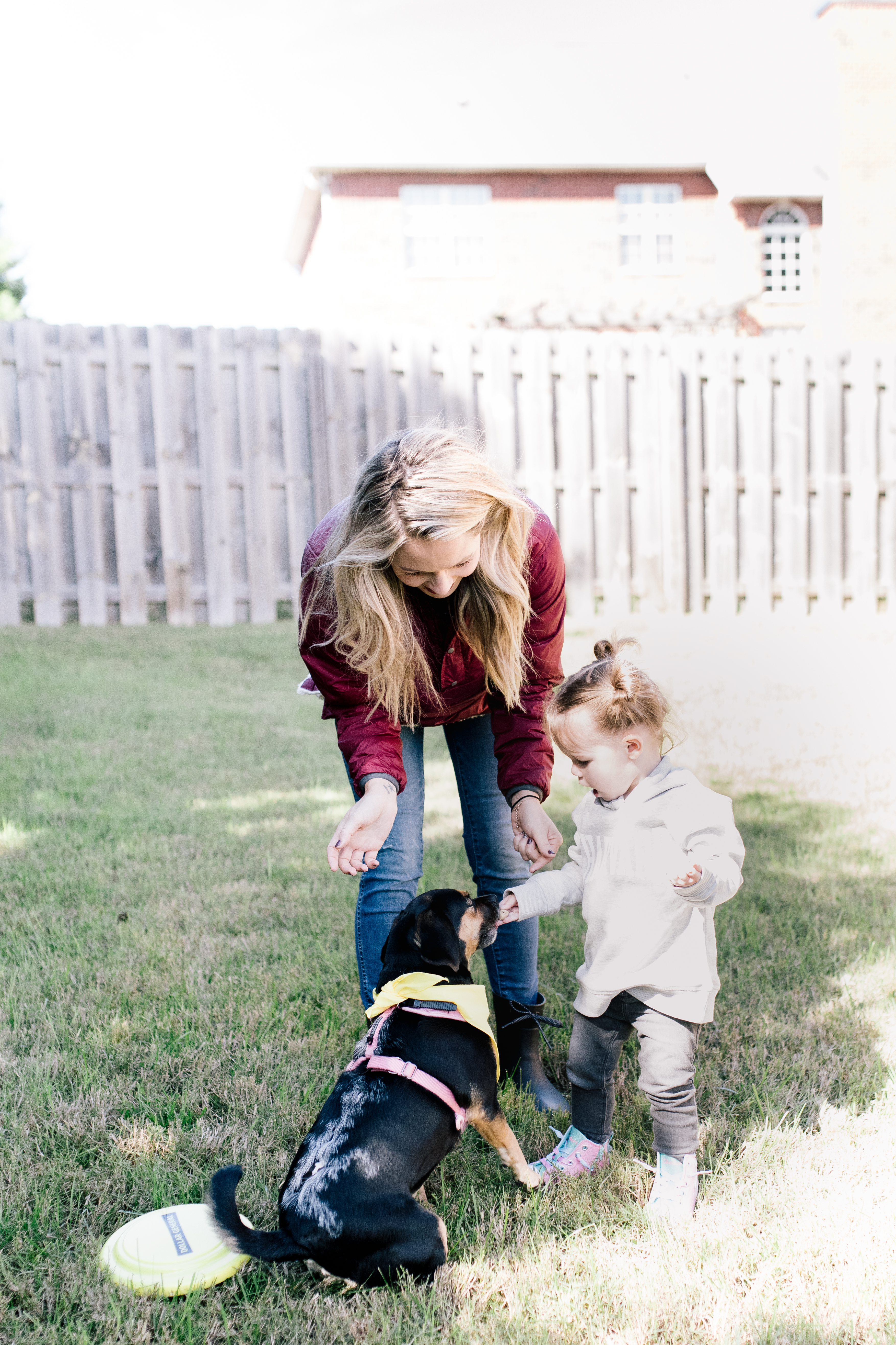 Dollar General | The Benefits of Having a Pet and How to Care for Them featured by top Nashville lifestyle blog Nashville Wifestyles. The Benefits of Having a Pet and How to Care for Them - Nashville Wifestyles; Welcoming a new pet is a HUGE event for a family and kids. Whether you're adopting a puppy, older dog or kitten, you have to be prepared. It’s such an exciting time for your family but it does take a little work at first. Make sure everyone is clear on their responsibilities regarding taking care of the pet. Mom can be in charge of crate training, one kid can take the dog out to potty, one kid is on feeding duty, dad can change the litter box. Click to read the benefits of adopting a pet.