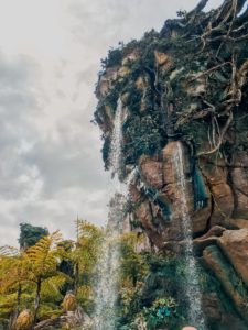 Disney’s Animal Kingdom is a fun-filled adventure park inside of Disney World in Orlando, Florida. This spring break my family took a week-long trip and explored the parks in the area. In this post, I’m going to share my personal experience at the park, and talk about all the tips & tricks I have for you to make the best of your own trip! The 1st thing to know about the Disney parks is for every ticket purchased, you are automatically given 3 fast passes to the rides you want.