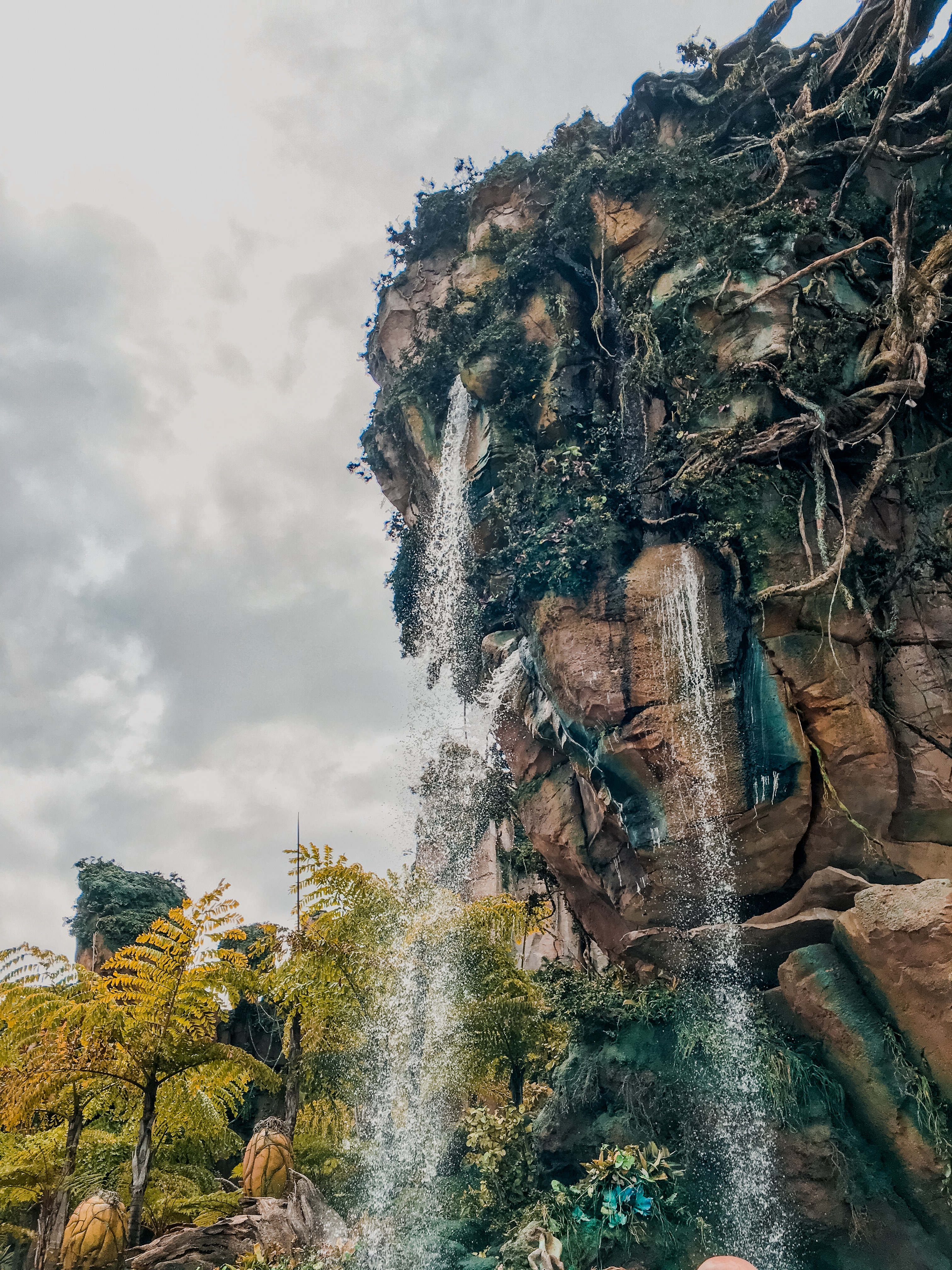Disney’s Animal Kingdom is a fun-filled adventure park inside of Disney World in Orlando, Florida. This spring break my family took a week-long trip and explored the parks in the area. In this post, I’m going to share my personal experience at the park, and talk about all the tips & tricks I have for you to make the best of your own trip! The 1st thing to know about the Disney parks is for every ticket purchased, you are automatically given 3 fast passes to the rides you want.