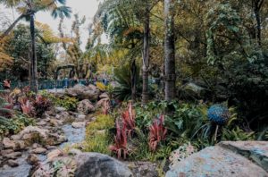 DISNEY'S ANIMAL KINGDOM featured by top US travel blog Nashville Wifestyles