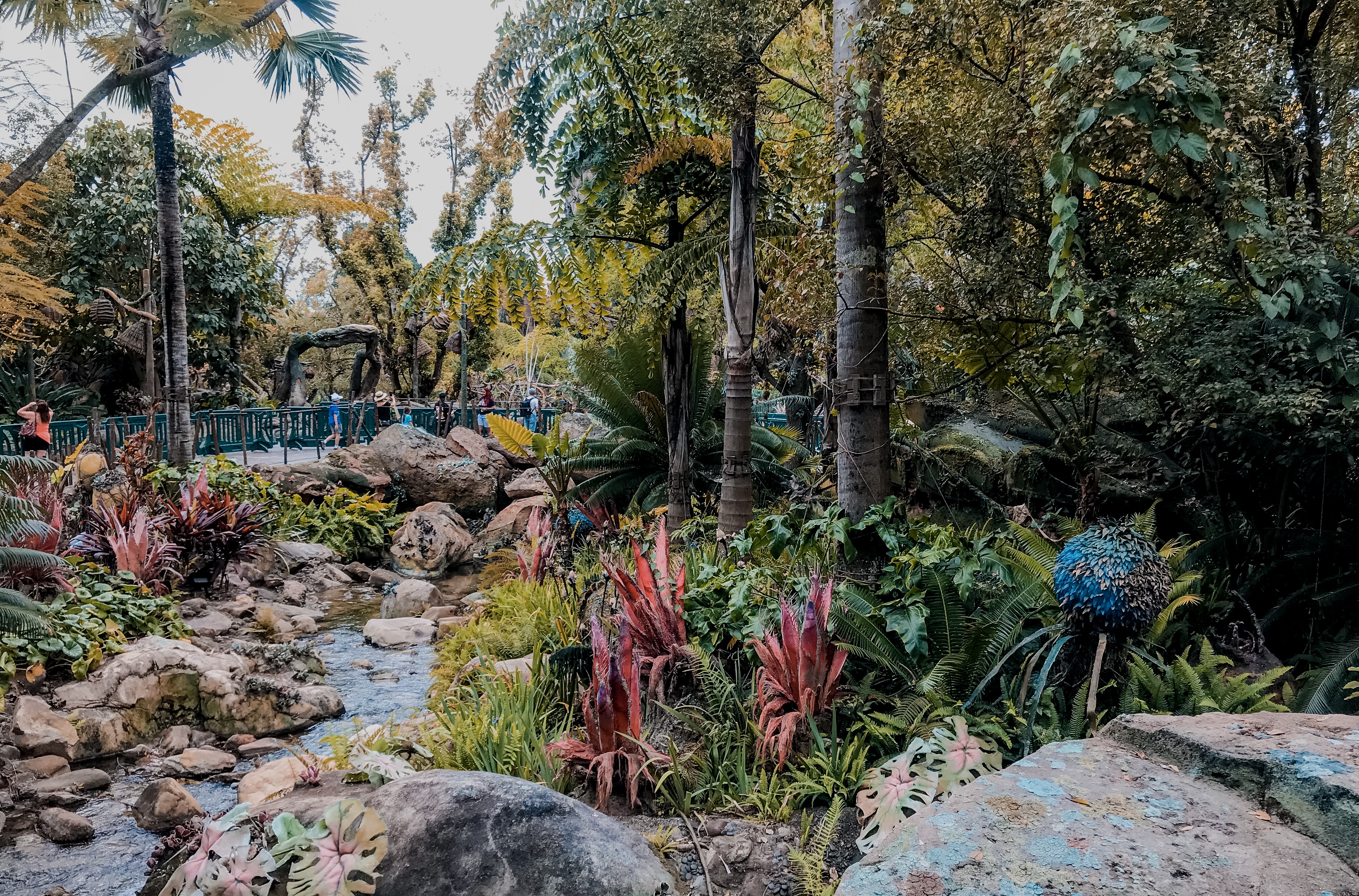 DISNEY'S ANIMAL KINGDOM featured by top US travel blog Nashville Wifestyles