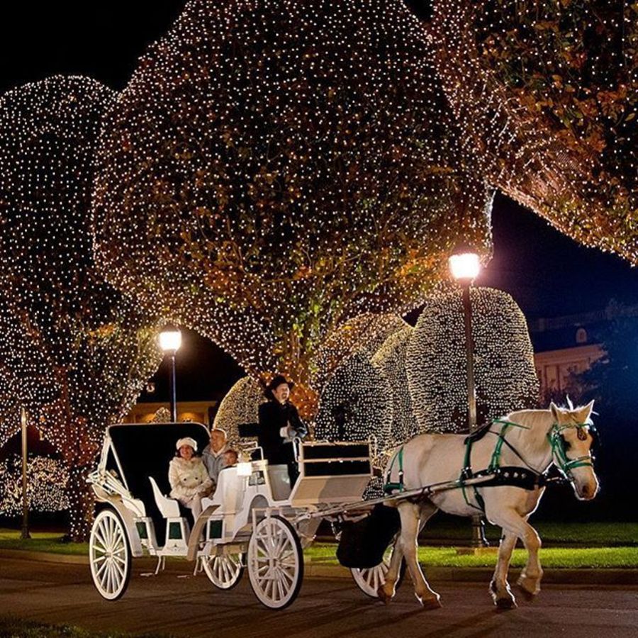 HOLIDAY TRAVEL: What Makes Christmas at the Gaylord Opryland in Nashville So Special - Nashville Wifestyles; It’s Christmas season at Gaylord Opry which is one of my very favorite holiday traditions. If you’re making plans to travel to Nashville around Christmas or a local looking for things to do, one of the most sought after is visiting the infamous Gaylord Opryland Resort and Hotel. It is one most beautiful and magical moments you can experience. WE go EVERY single year from the time Keatyn was a baby. I scoured their website for detailed info paired with my local knowledge. Click to read more! | HOLIDAY TRAVEL: What Makes Christmas at the Gaylord Opryland in Nashville So Special by popular Nashville blog, Nashville Wifestyles: image of a horse pulled carriage and Christmas lights at Gaylord Opryland.